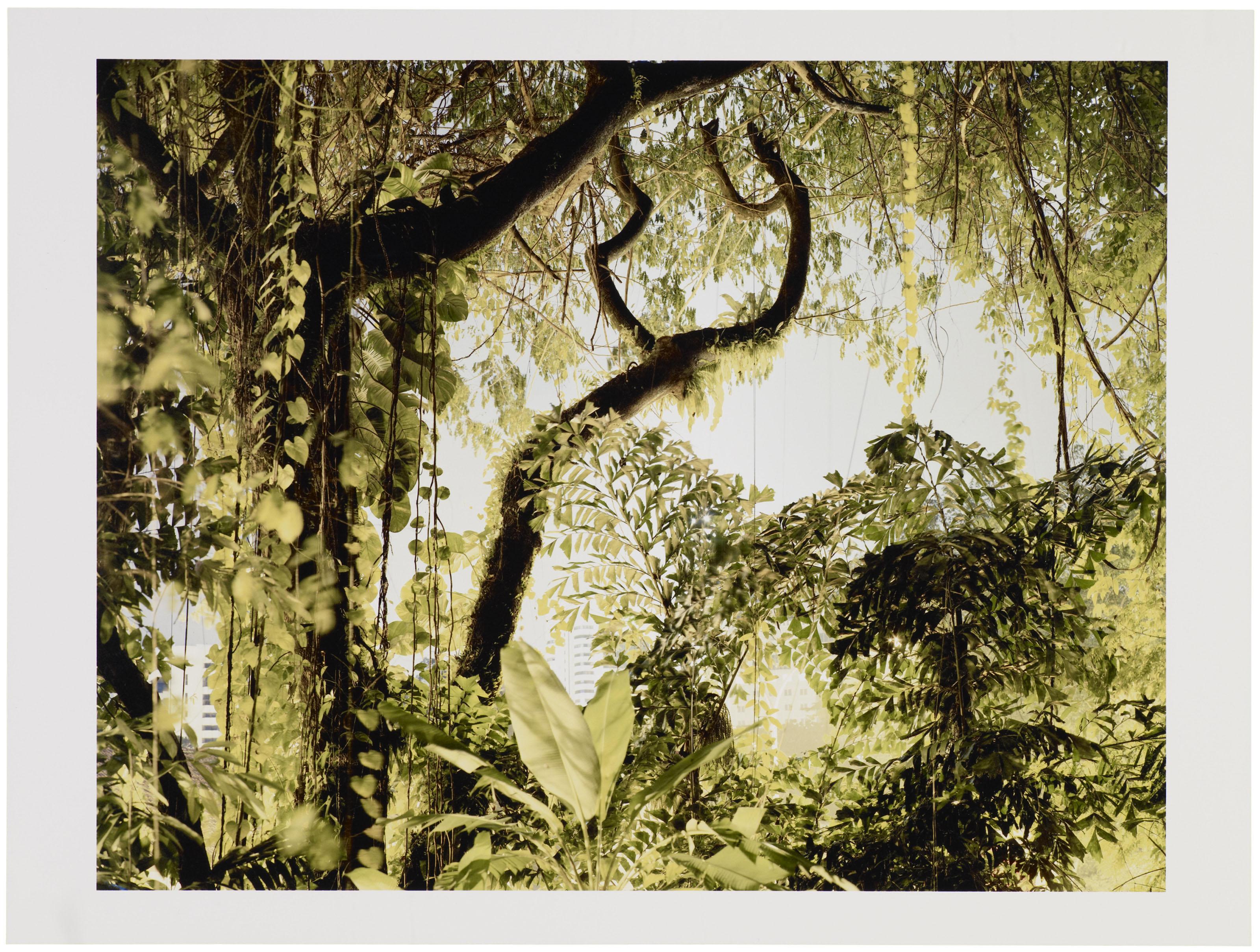 Peter Bialobrzeski - Paradise Now - 38, 2008