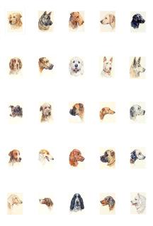 Peter Biegel - A Collection Of Dog Studies (25) All Mounted But Unframed