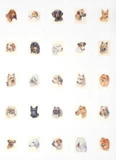 Peter Biegel - A Collection Of Dog Studies (25) All Mounted But Unframed