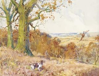 Peter Biegel - A springer spaniel flushing out a pheasant