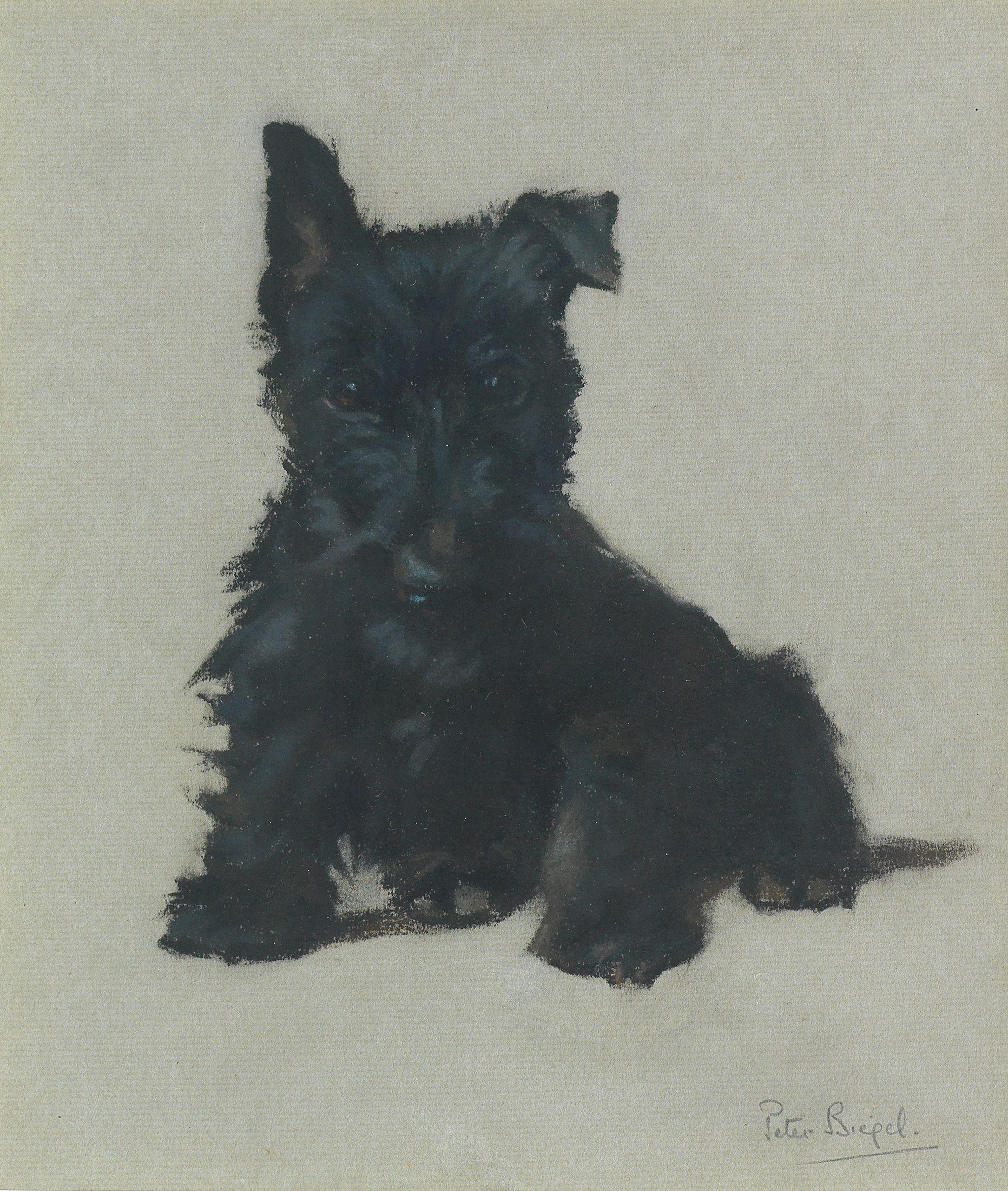 Peter Biegel - A Wee Scottie