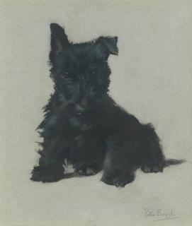 Peter Biegel - A Wee Scottie