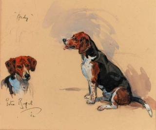 Peter Biegel - Andy, a fox hound