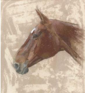 Peter Biegel - The head of a hunter