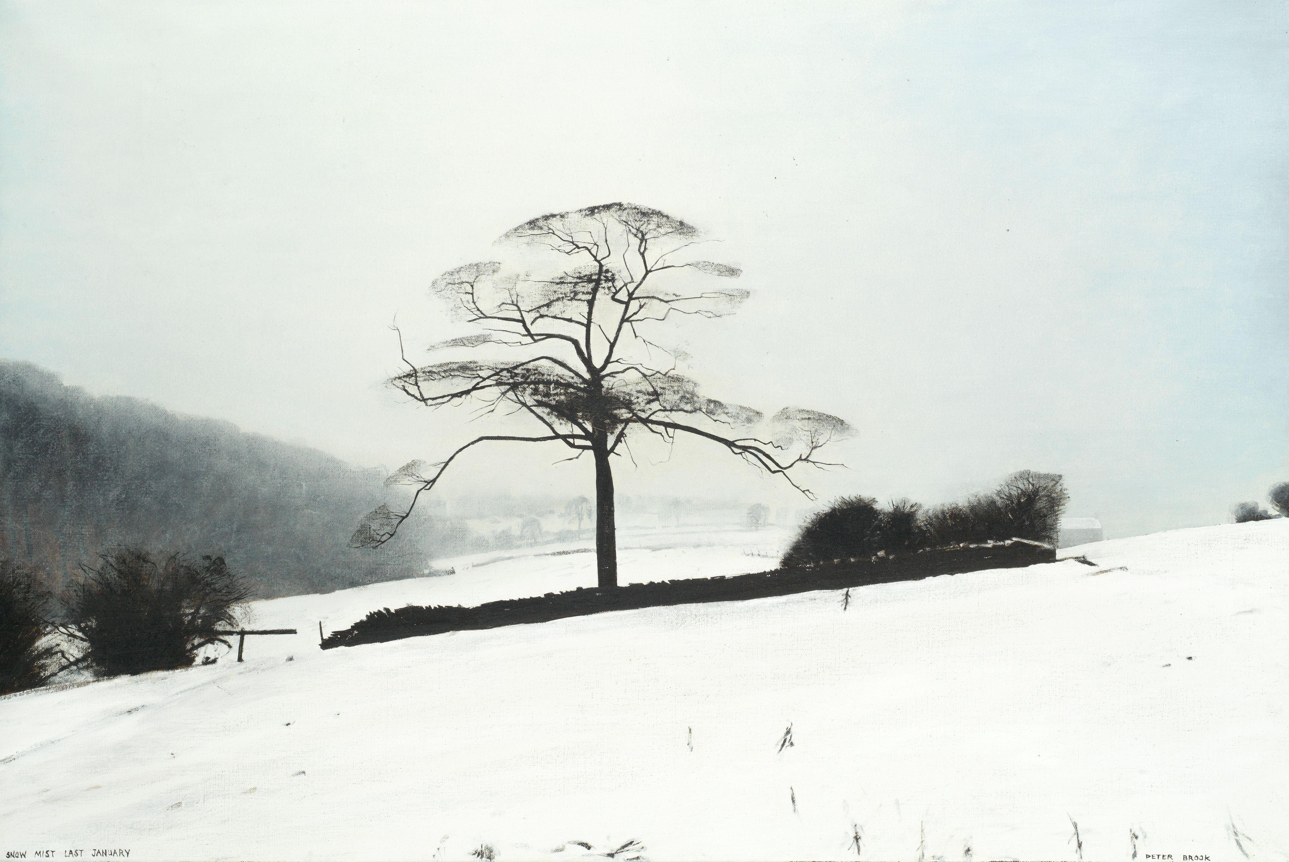 Peter Brook - Snow Mist Last January