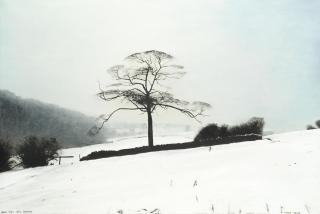 Peter Brook - Snow Mist Last January