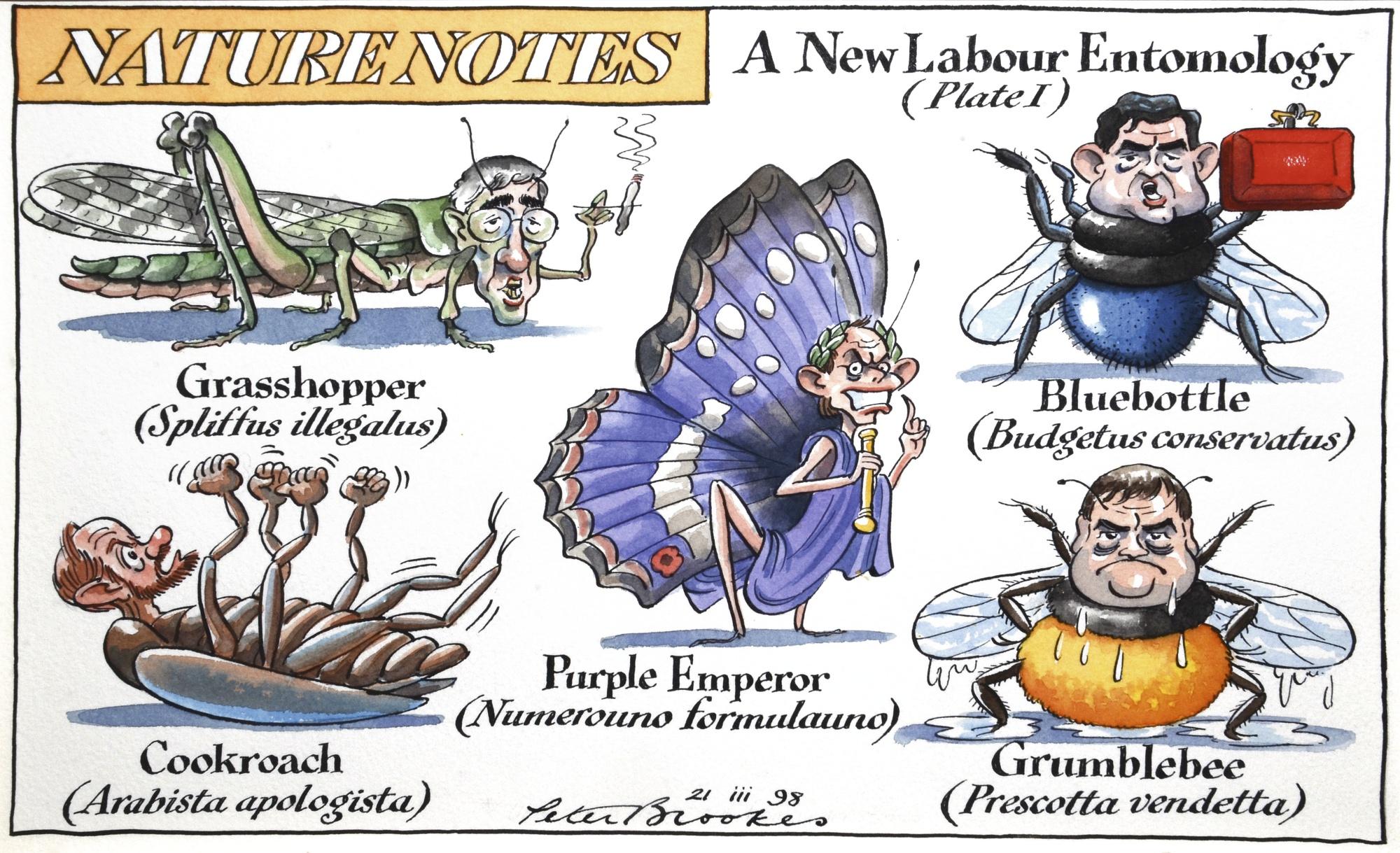 Peter Brookes - ‘A New Labour Entomology (Plate I)’