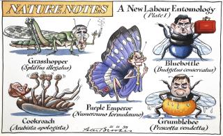Peter Brookes - ‘A New Labour Entomology (Plate I)’