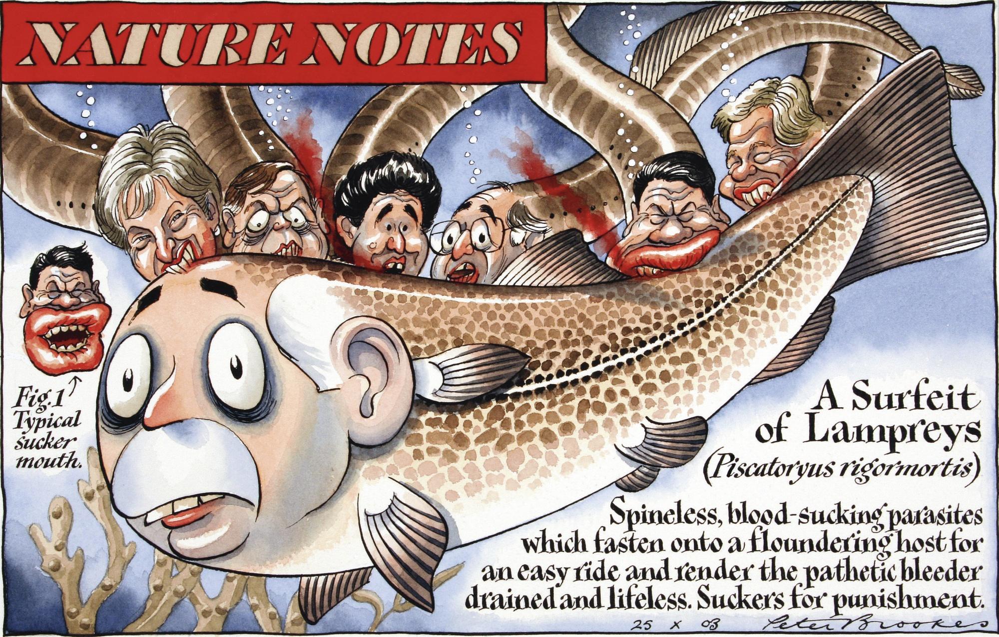 Peter Brookes - ‘A Surfeit Of Lampreys’