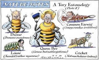 Peter Brookes - ‘A Tory Entomology (Plate Ii)’