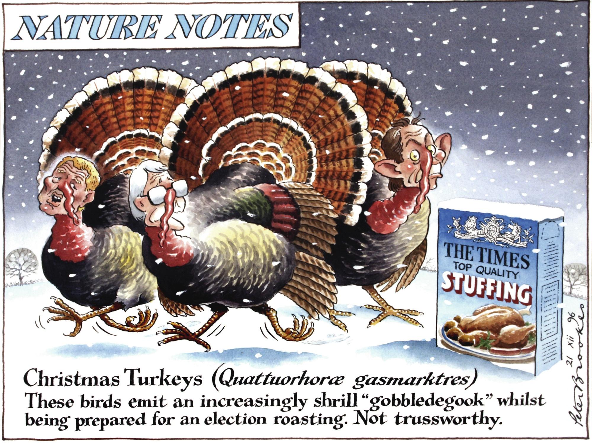Peter Brookes - ‘Christmas Turkeys’