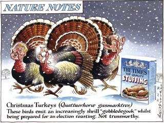 Peter Brookes - ‘Christmas Turkeys’