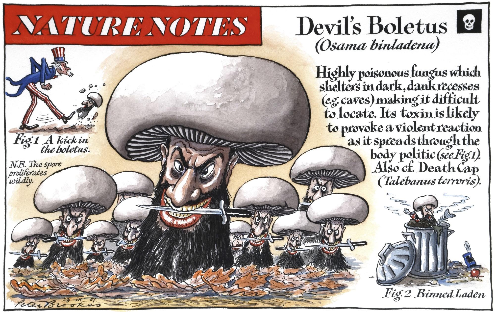 Peter Brookes - ‘Devil’S Boletus’