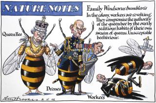 Peter Brookes - ‘Family Windsorus Bumbleris\'