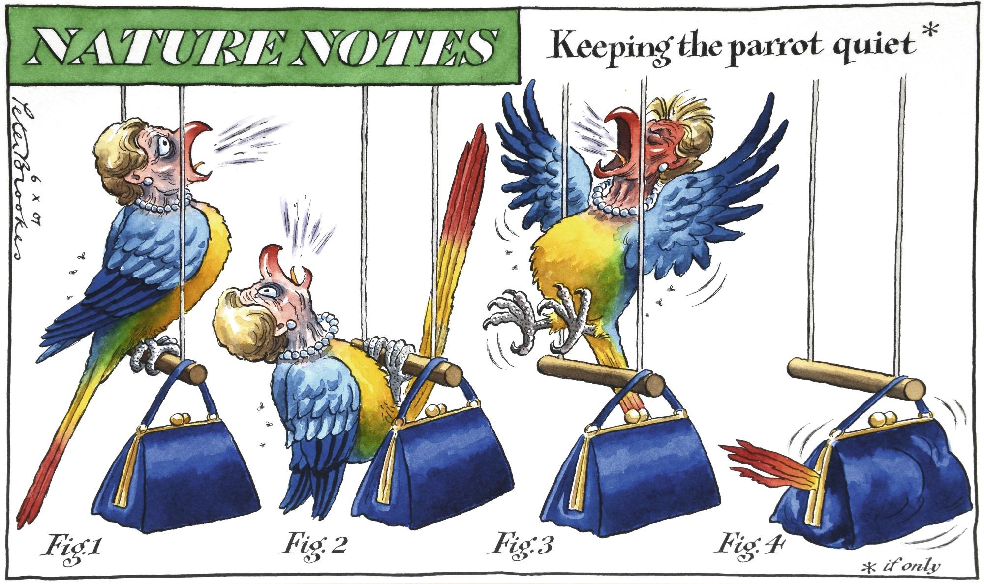 Peter Brookes - \'Keeping The Parrot Quiet\'