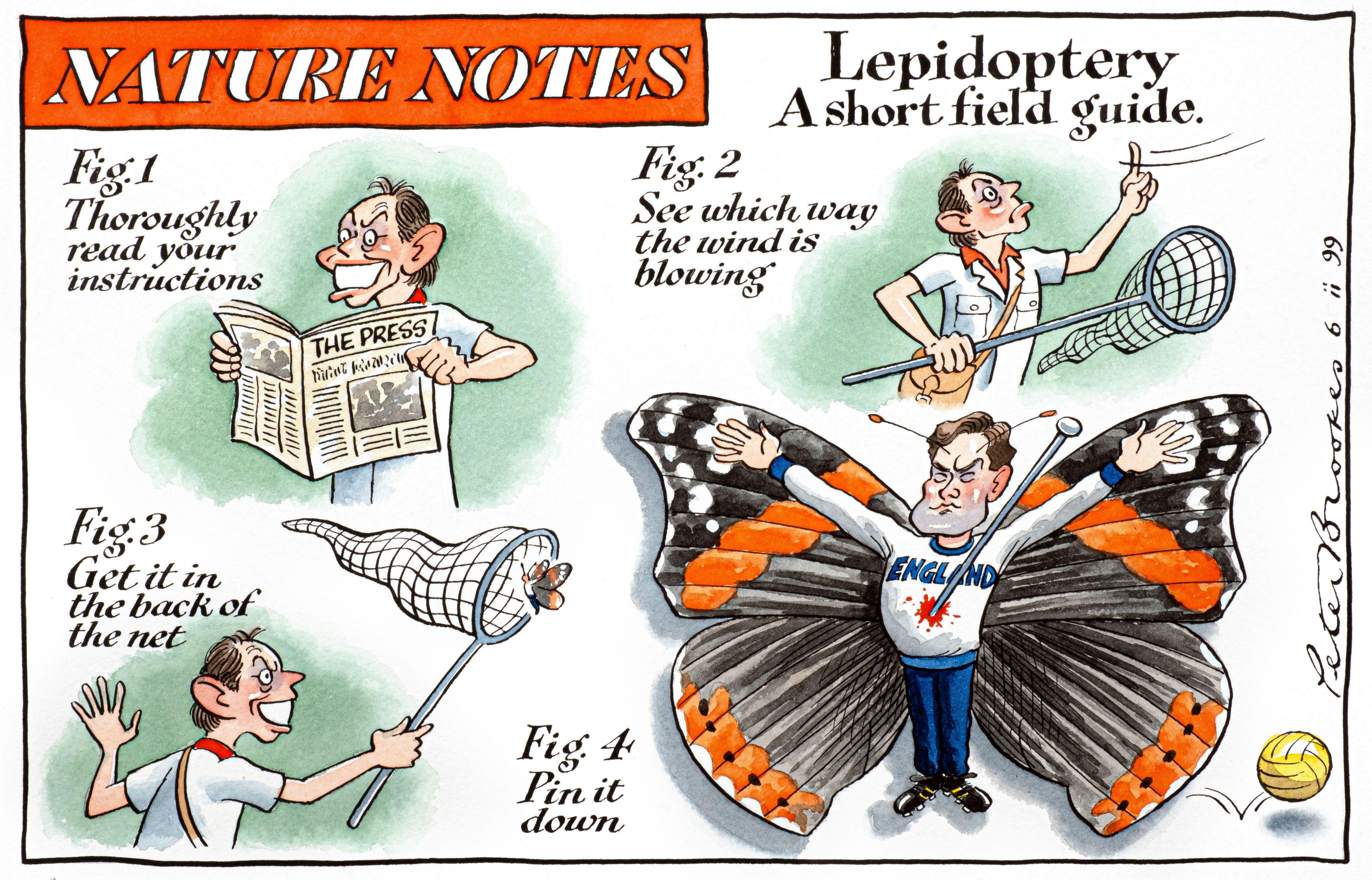 Peter Brookes - Lepidoptery – a Short Field Guide