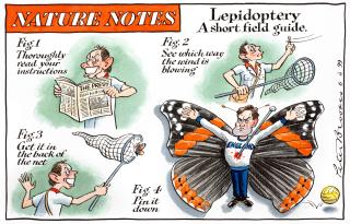 Peter Brookes - Lepidoptery – a Short Field Guide