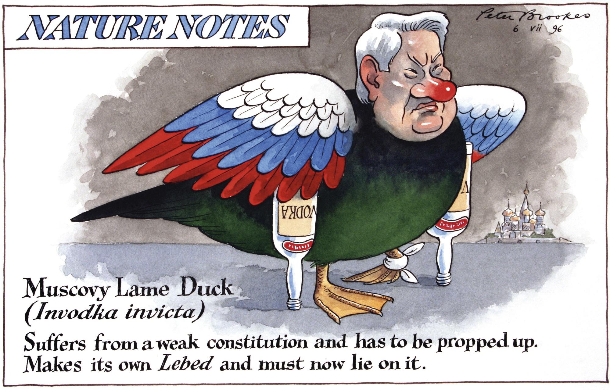 Peter Brookes - ‘Muscovy Lame Duck’
