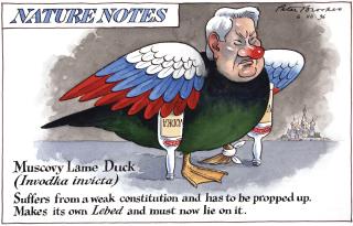 Peter Brookes - ‘Muscovy Lame Duck’