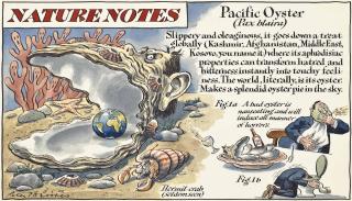 Peter Brookes - \'Pacific Oyster\' (Pax Blaria)