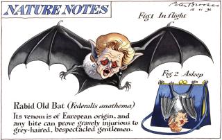 Peter Brookes - ‘Rabid Old Bat’