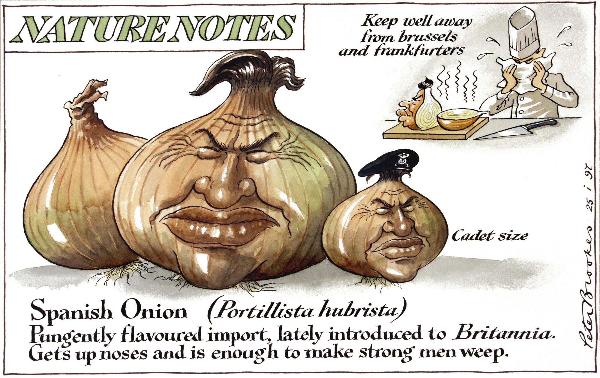 Peter Brookes - \'Spanish Onion\'