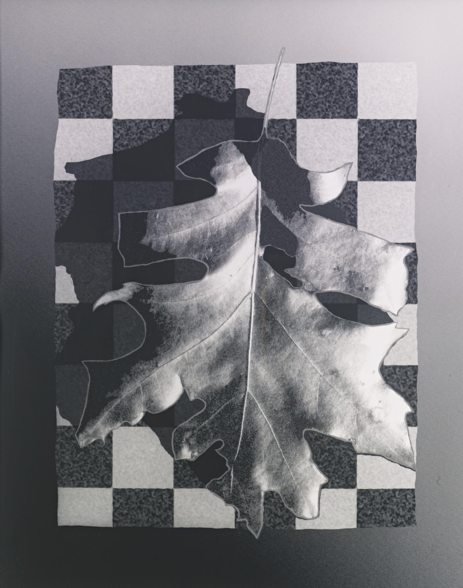 Peter Campus - Decay