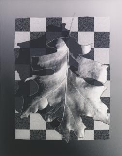 Peter Campus - Decay