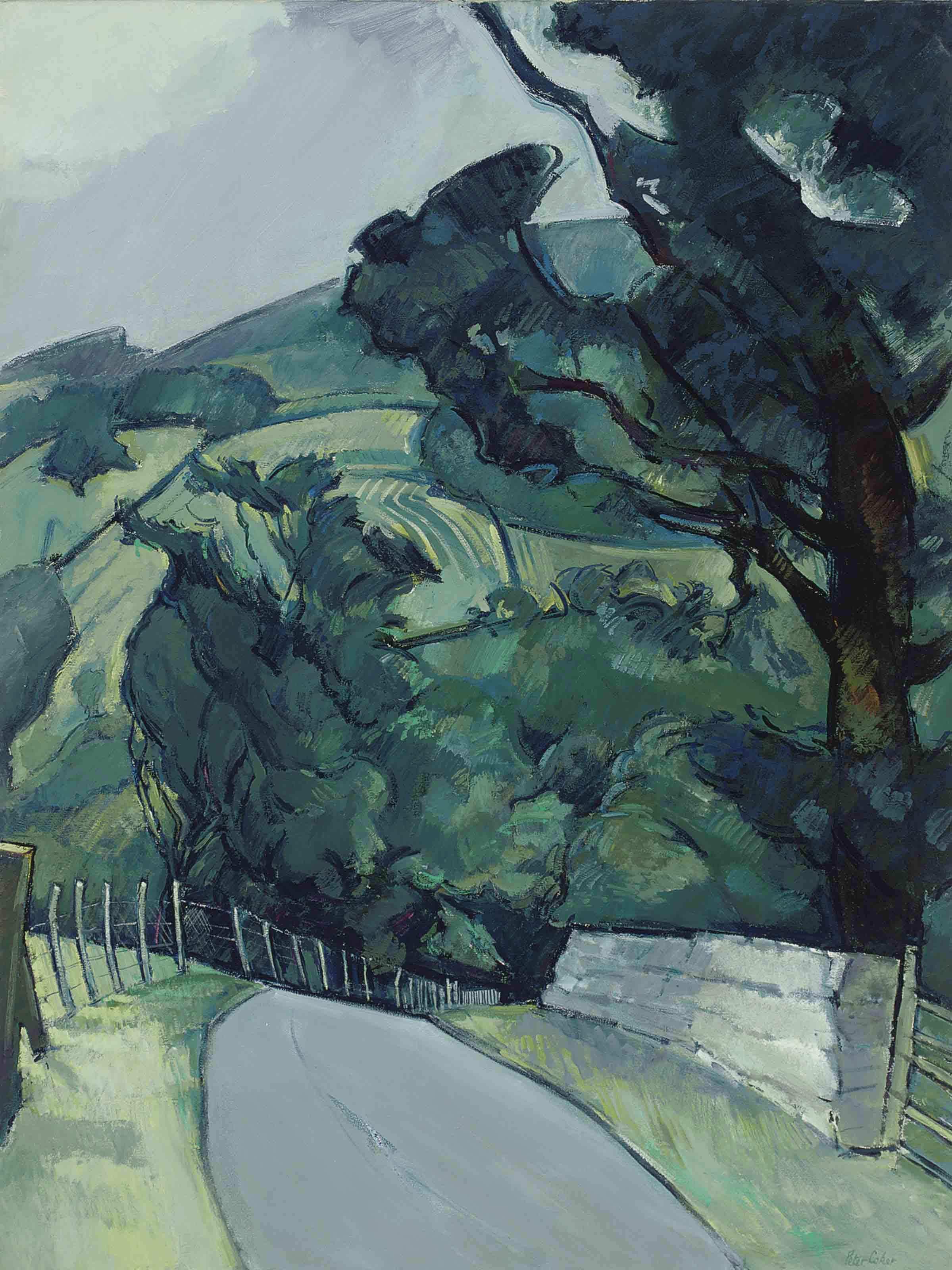 Peter Coker, R.A. - Dewley Fell near Alston