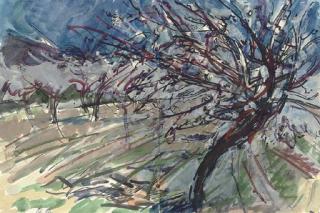 Peter Coker, R.A. - St Saturnin (Recto); Artichoke (Verso)