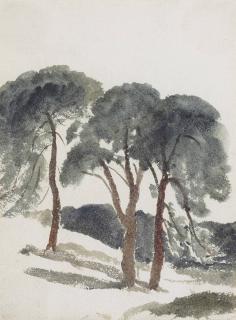 Peter De Wint, O.W.S. - A Clump Of Scots Firs