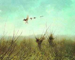 Peter Dik - Auffliegende Stockenten über Wiese mit Kopfweiden