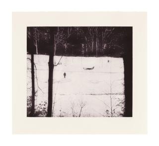 Peter Doig - Almost Grown