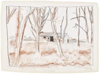 Peter Doig - Birthplace