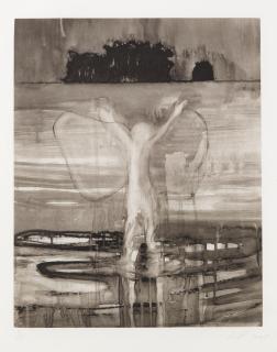 Peter Doig - Paragrand