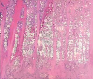 Peter Doig - Pink Briey