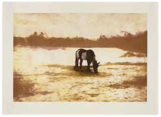 Peter Doig - Pinto, from: 100 Years Ago