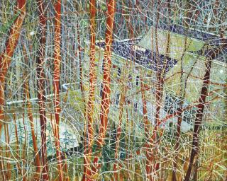 Peter Doig - The Architect\'S Home In The Ravine