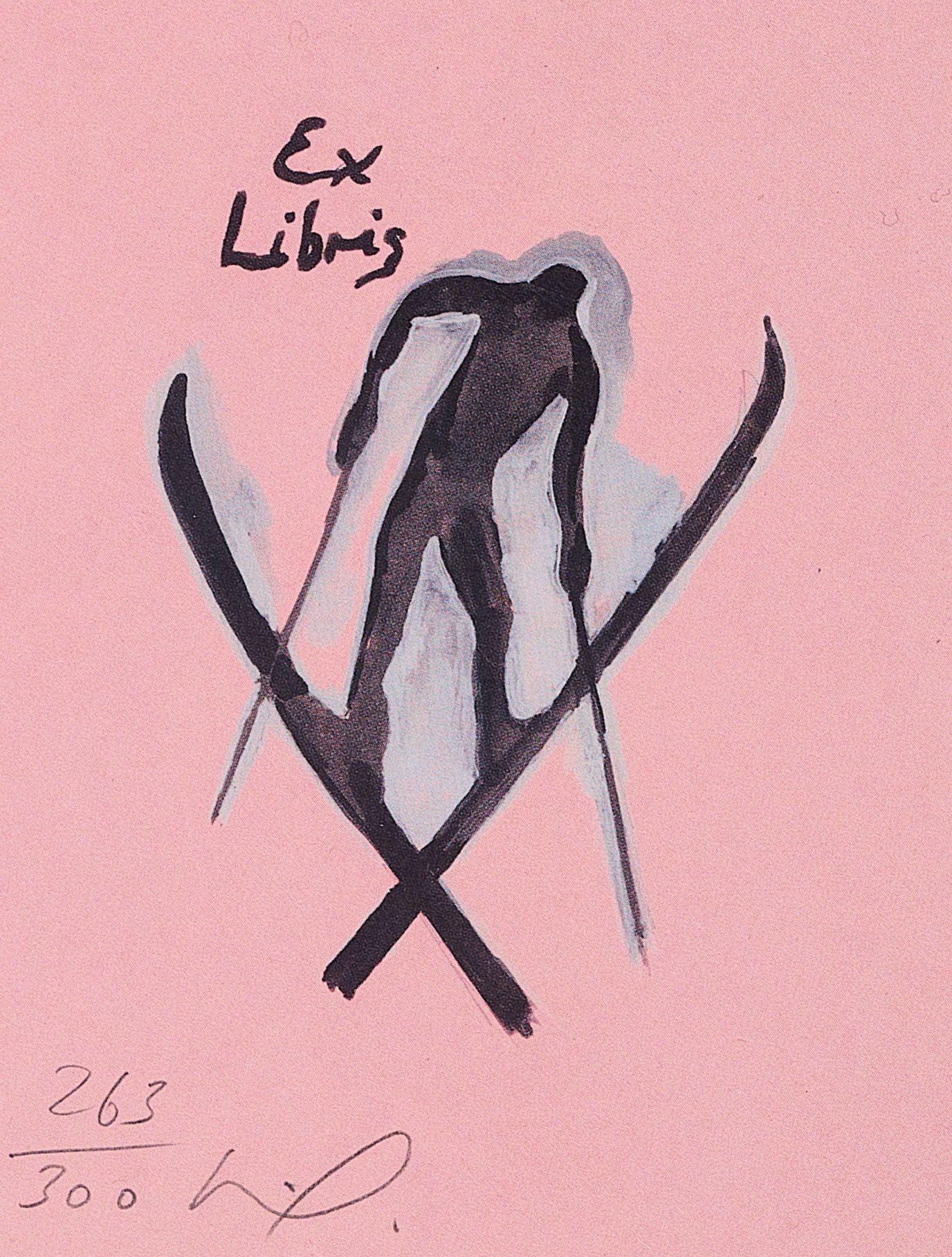 Peter Doig - The Wonders of Ski-ing.