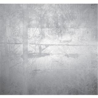 Peter Doig - Untitled (Silver Pond Painting)