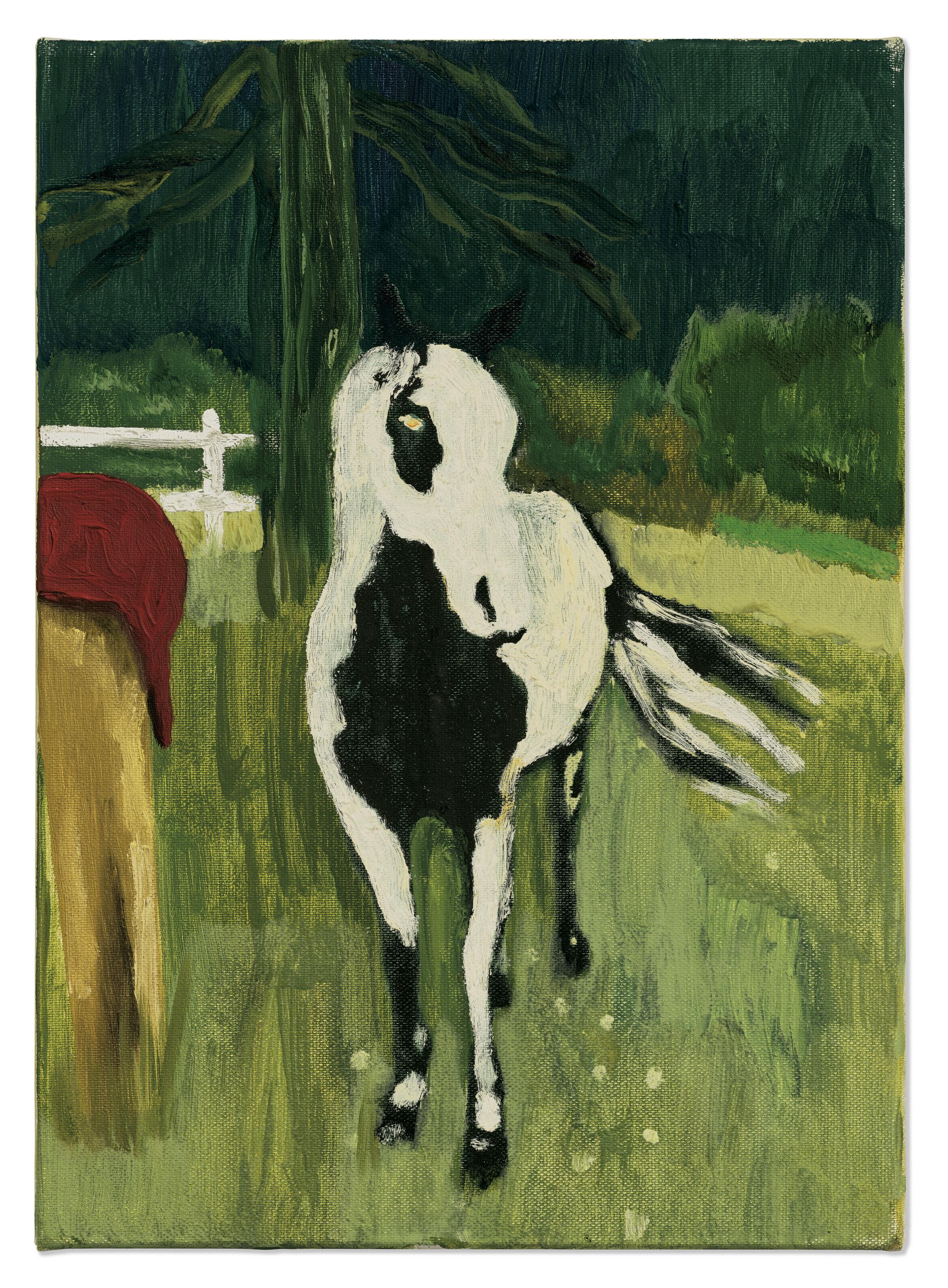 Peter Doig - Wall Eyed Pinto