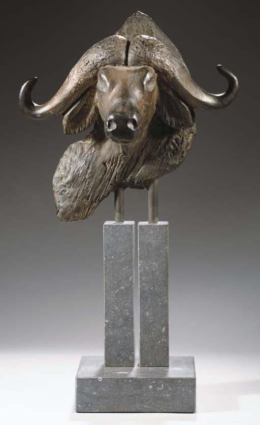 Peter Engelen - Cape Buffalo