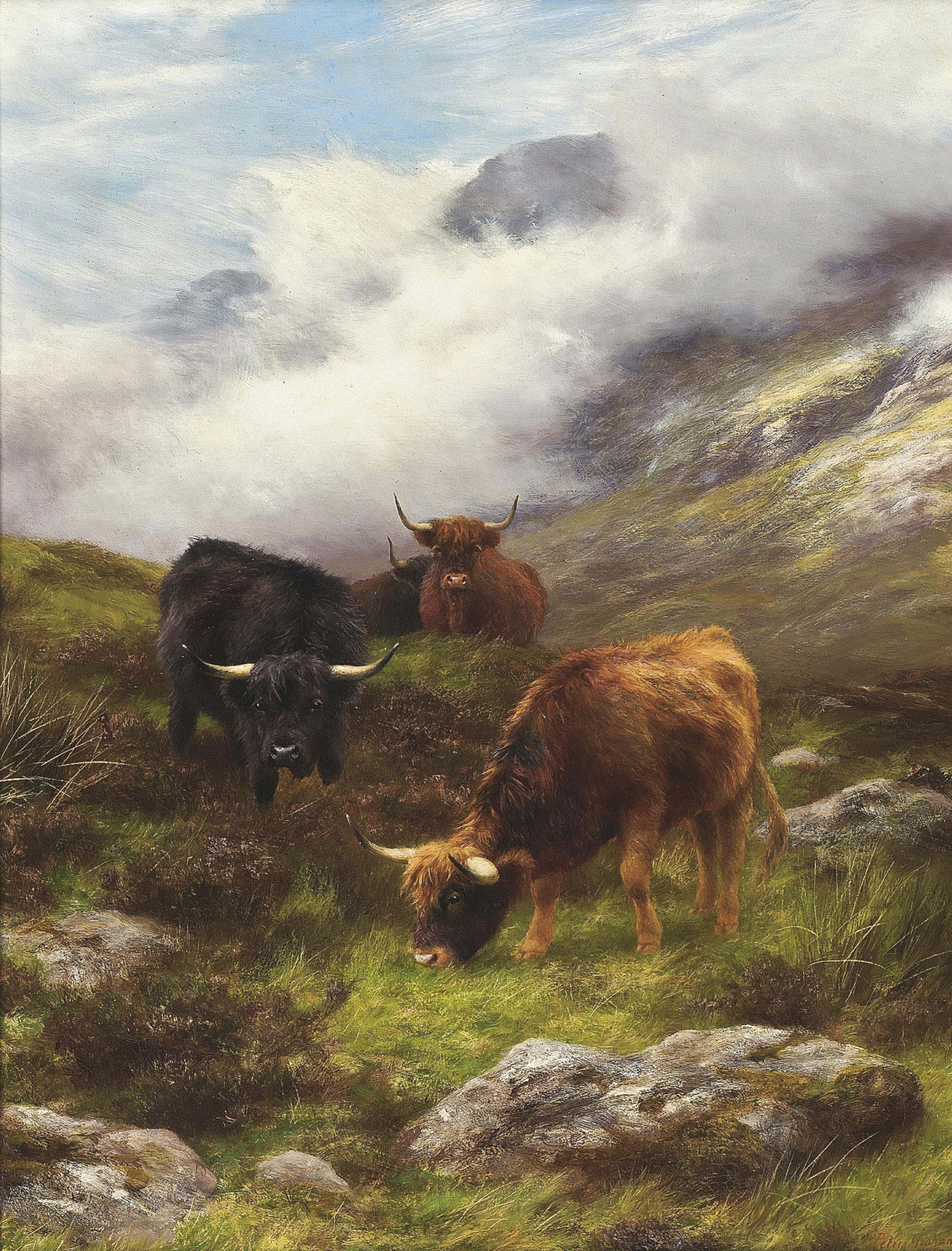 Peter Graham, R.A. - Highland cattle grazing on a mist covered hillside