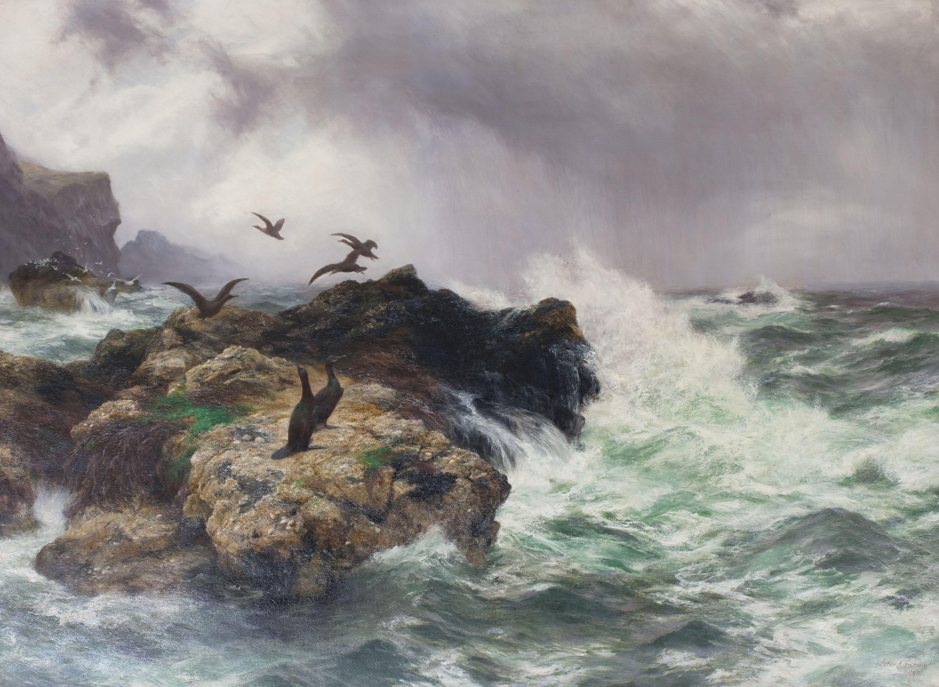 Peter Graham RA HRSA - Where Only Seabirds Roam