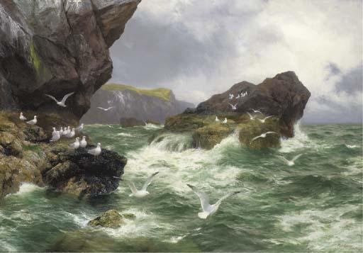 Peter Graham - \'Lonely sea cliffs where the gannet finds a home\'