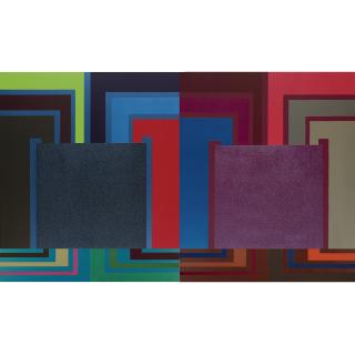 Peter Halley - The Circuit