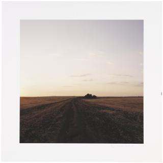 Peter Hebeisen - Prokhorovka, Russia (Battle of Kursk, 1943), 2008