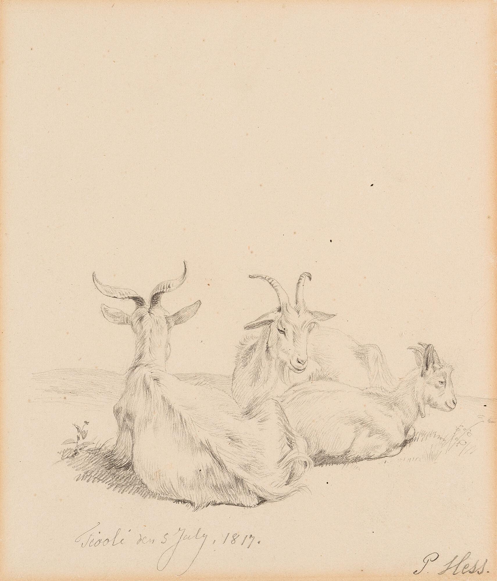 Peter Heinrich Lambert von Hess - Drei ruhende Ziegen.