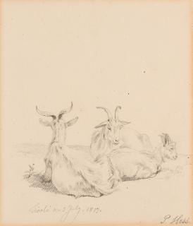Peter Heinrich Lambert von Hess - Drei ruhende Ziegen.