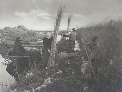 Peter Henry Emerson - During the Reed - Harvest, plate XXVIII from Life and Landscape on the Norfolk Broads, 1887